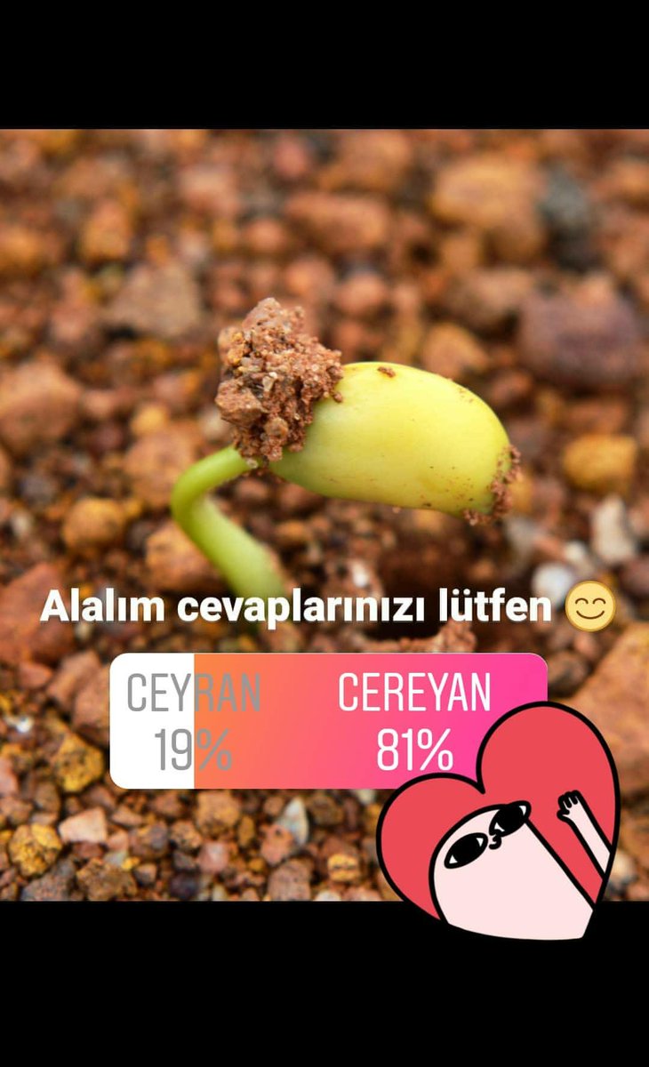 etkiliTurkce's tweet photo. https://t.co/PcM8t46qdQ