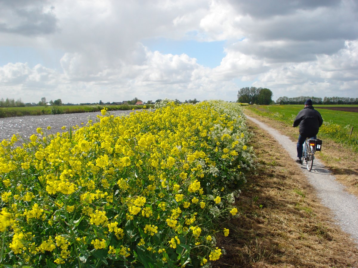 Ook met dit mooie weer blijft de oproep: blijf zoveel mogelijk thuis.