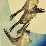 main image of this resource