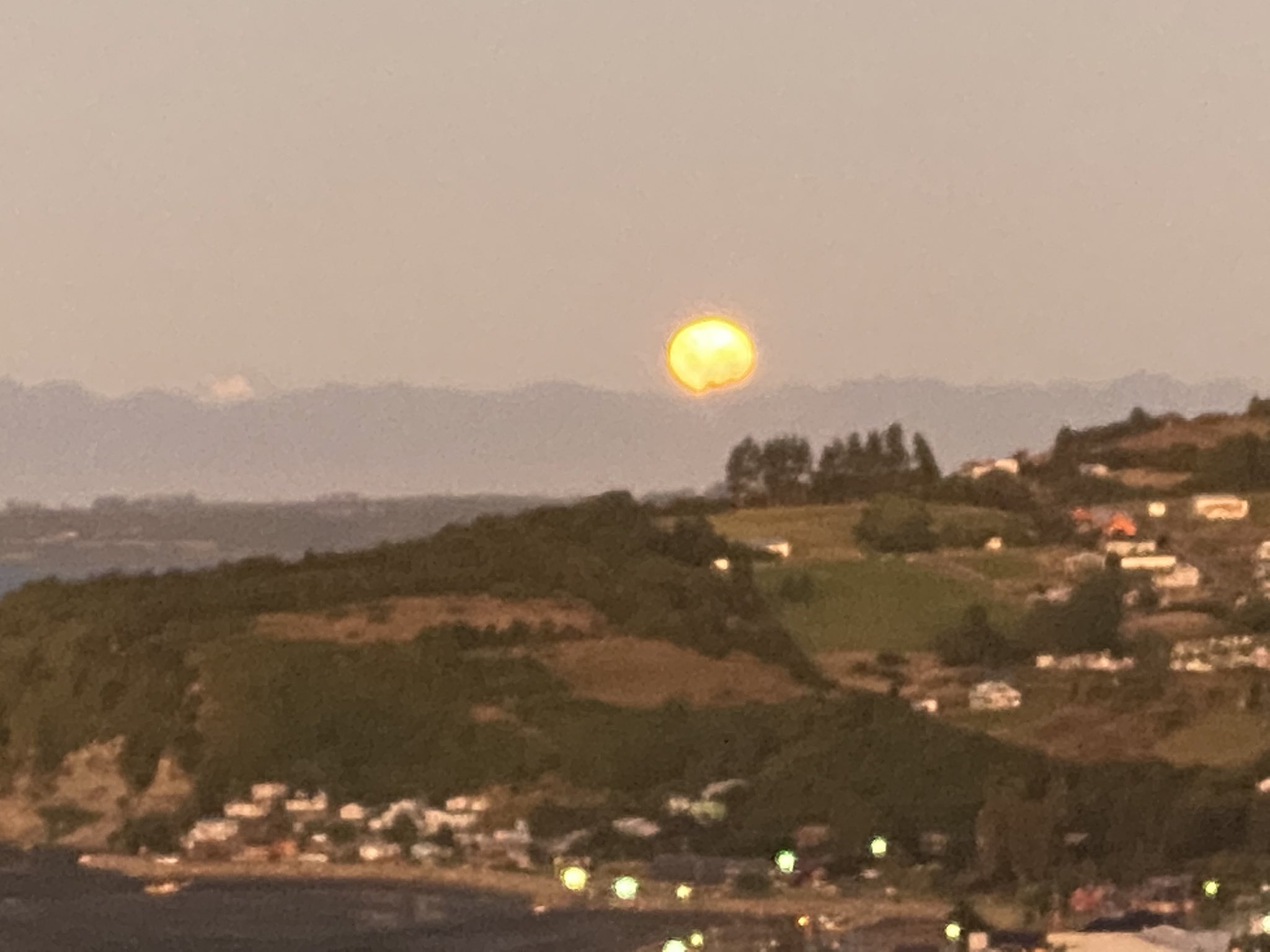 Ma Eugenia Oyarzun (AMALYX) / Twitter