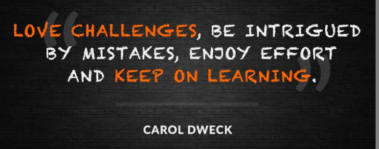 @a_delauter & I thought this was a great message to share w/staff this morning. We are going to experience hiccups & bumps along the road. Don't give up, reflect, & continue to learn as we move forward. Do the best you can while showing understanding & grace for our kids #wcpsmd