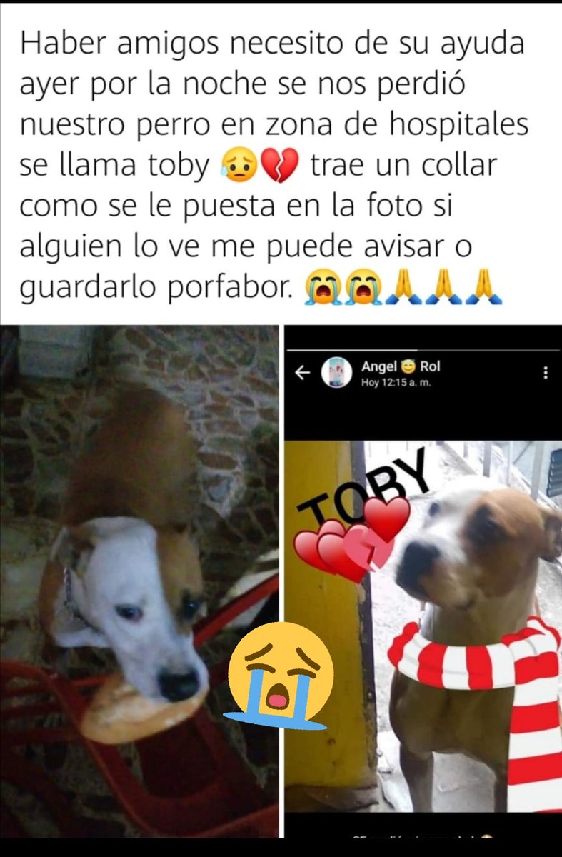 ZombyeYT5's tweet photo. Alguien me hace viral? :(
Aclarar varios puntos :
°Es por favor (pero lo escribió otro familiar ya se)
°Paso en la Ciudad de México a las 7-8pm
°ES UNA BUENA CAUSA AYUDA no saben cómo me siento 😭😭😭😭😭😭😭
°Si realmente sabes algo contactame 🙏🏻🙏🏻🙏🏻 https://t.co/39p8b2Z4cj