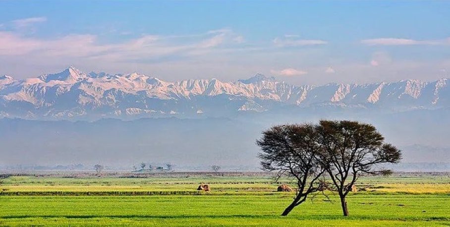 mooseoutfront's tweet image. Himalayas visible from more than 150 miles away for the first time since the 1980s. Seeing many posts of pictures from India, where a trending topic is reductions in traffic and associated pollution during the Covid19 pandemic. These caught my eyes.