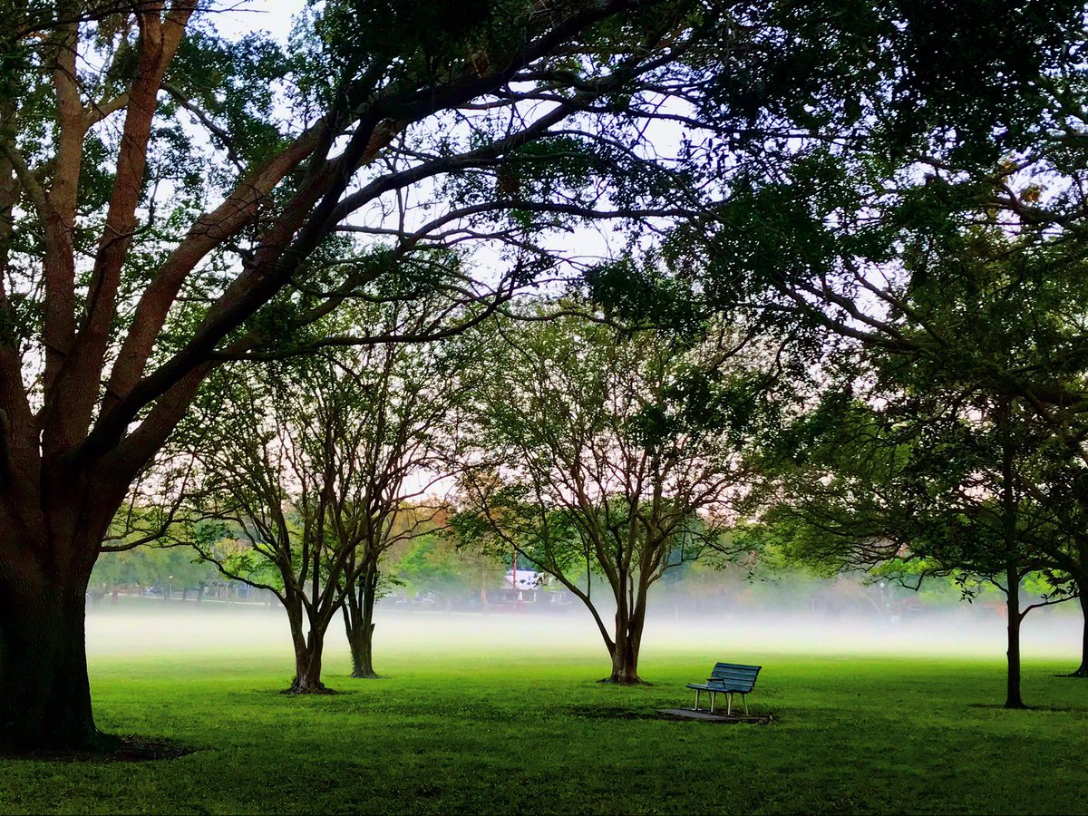 LibraGirlTracy's tweet photo. Park bench for one please!
.
#socialdistancing #stpete #parklife #morningfog #fog #ilovetheburg #instaburg #livewithintention #lovewhereyoulive #keepstpeteshining #stayhome #stayhealthy https://t.co/UemojBfa1i