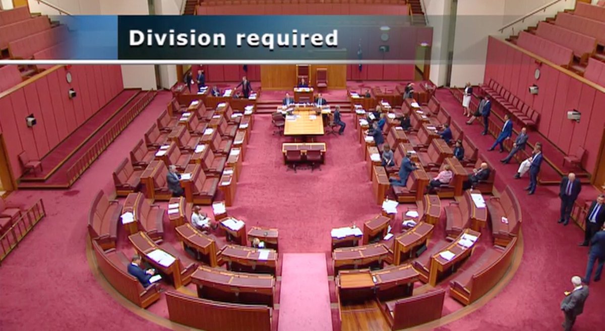 AdamBandt's tweet image. Breaking: Greens just moved to extend gov’s JobKeeper payments to cover 1.1m casuals employed for &amp;lt;12 months. 

Liberals, Labor &amp;amp; One Nation all voted against it 😞