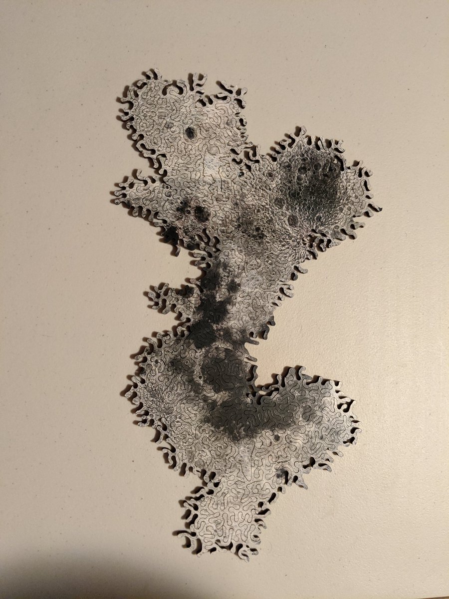 lkfazio's tweet photo. My corona productivity - we finally finished our devilishly hard Christmas puzzle from @nervous_system #infinitypuzzle #themoon #186piecesin4months https://t.co/wq4dAbBLEr