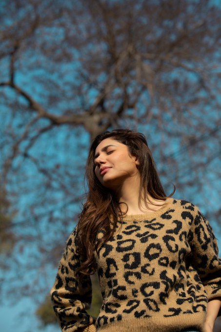 View image on Twitter