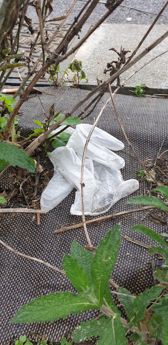 GuillaumeBarucq's tweet image. Mettre un masque et des gants, c’est bien. Les jeter comme il faut, c’est encore mieux. #Covid19