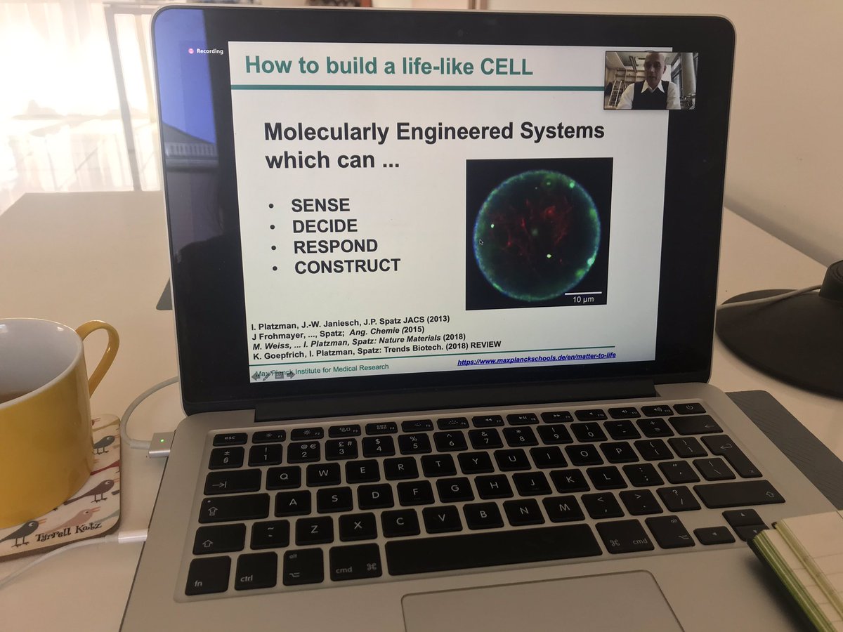 Thanks to Joachim Spatz and @mattertolife for the inspiring seminar today and for keeping us connected in this time! Looking forward to the next one! #syntheticcells #bioinspired