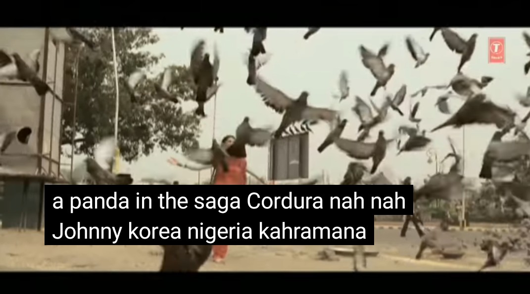 10/nin this verse, we're told our pigeon (n her panda husband) will honeymoon across the world - Korea, Nigeria, the mythical city of Cordura even   #travelgoals #Masakali  #Masakali2