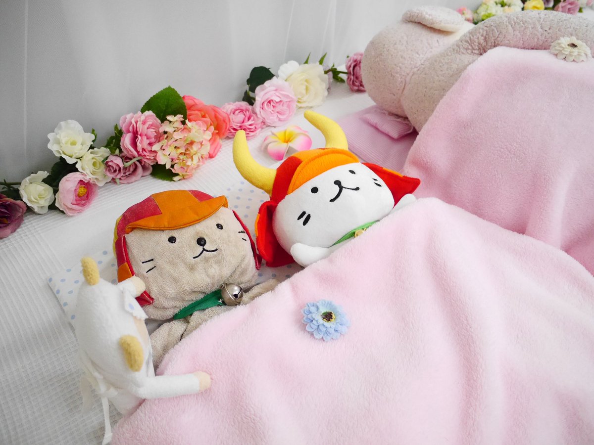 kozarashi_train's tweet photo. うちの子、最初はずうっと不安そうな顔をしてるんですが、いのの先生に優しく診察してもらい、その後ゆっくりリラックスエステに入ったくらいから少し緊張がとけたようです☺️
エステ後に、こころのケア室のアロマさんが付き添ってくれたのが本人にとってとても癒しになったのかな…と思います。 https://t.co/l9jlfP7Nlb