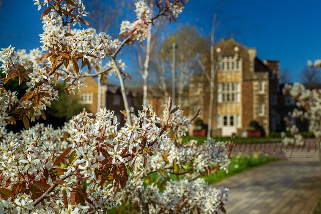 Beautiful day here in Oakham <a href="/OakhamSch/">Oakham School</a>