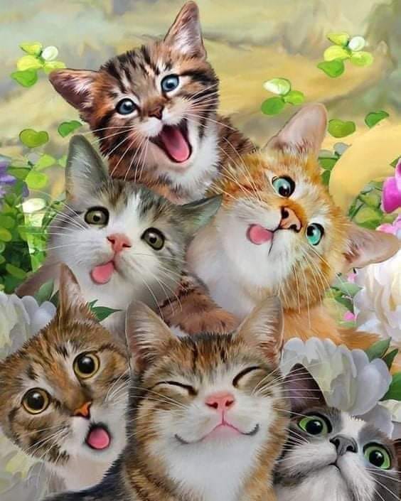 Sinetweets (@sineking) on Twitter photo 