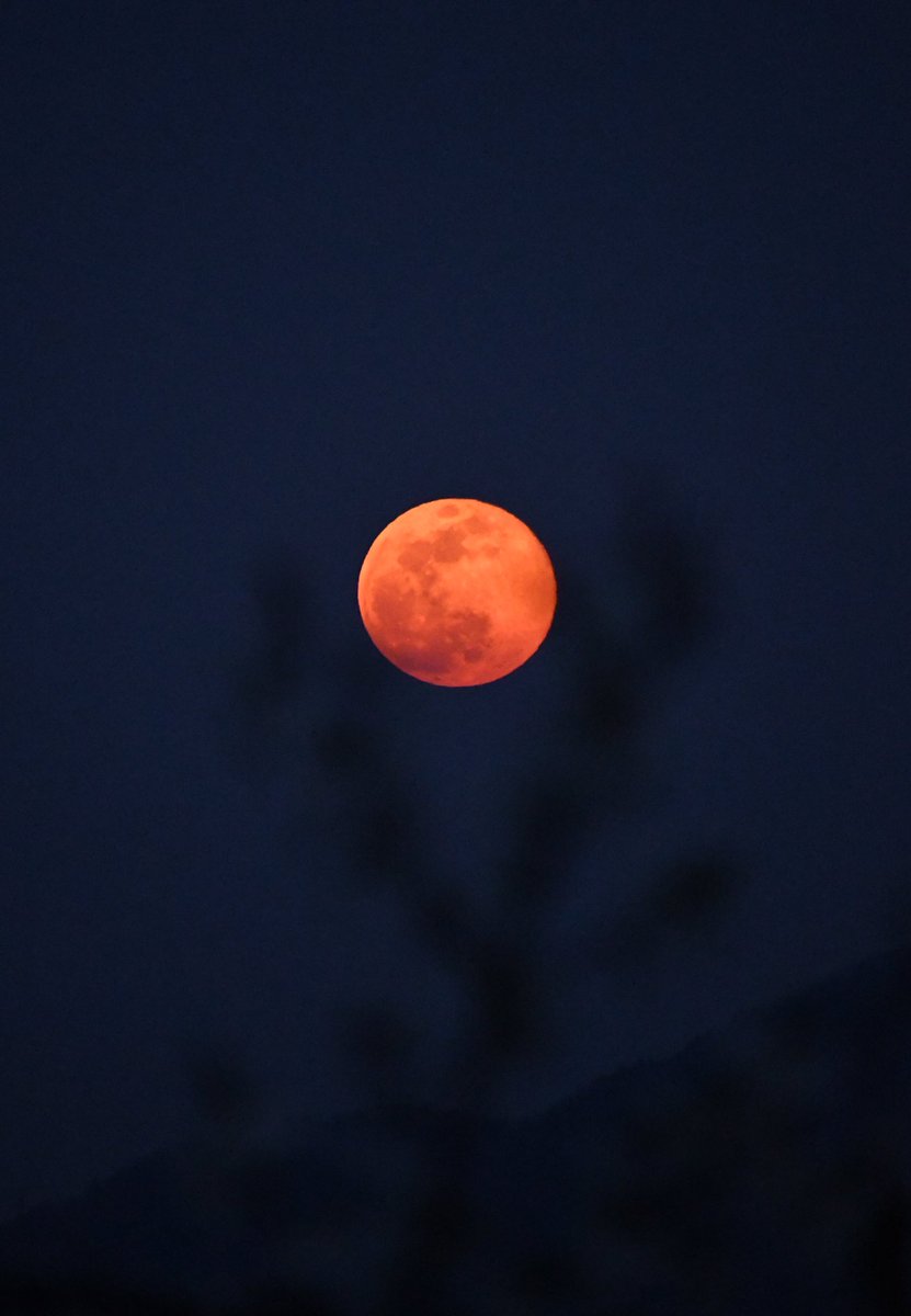 Tetsuya Igarashi در توییتر 稜線上のチェリームーン 月の出の時間と方位を確認しておいたおかげで 待ち受け ていた場所にババーン と現れた満月