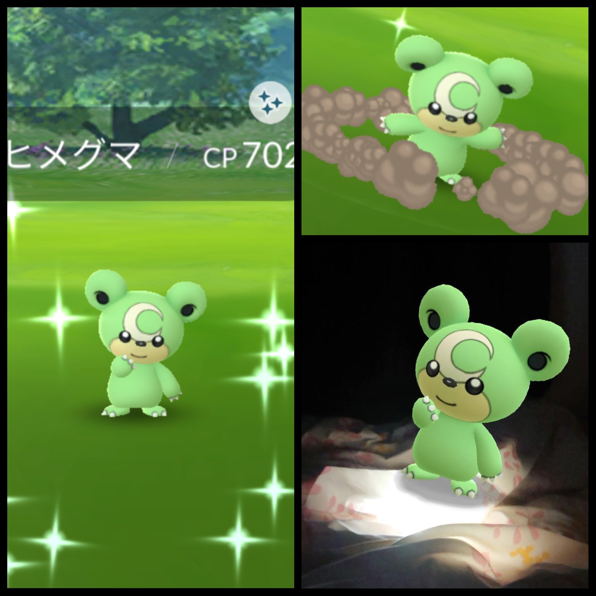ヒメグマ色違い Twitter Search Twitter