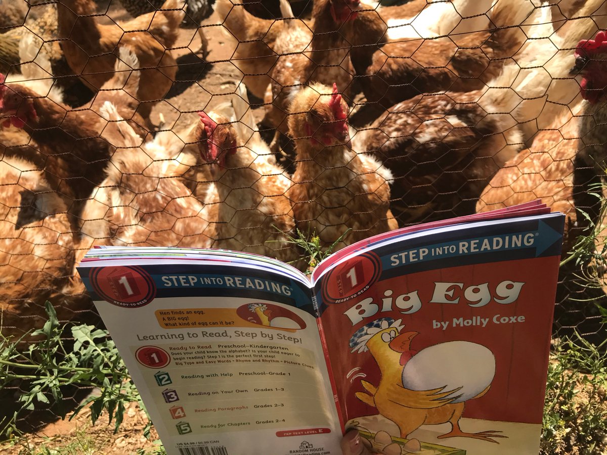 lubbocklibrary's tweet photo. Miss Kaitlyn from our Patterson Branch Library is really missing her weekly storytimes, so she improvised with some furry friends! πΆπ
#storytimeonthefarm #dogsareagirlsbestfriend #chickenstoo #lubbocklibrary #lubbocktx https://t.co/PuG1CmpQ1s