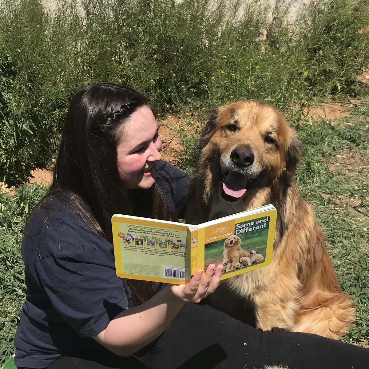 lubbocklibrary's tweet photo. Miss Kaitlyn from our Patterson Branch Library is really missing her weekly storytimes, so she improvised with some furry friends! πΆπ
#storytimeonthefarm #dogsareagirlsbestfriend #chickenstoo #lubbocklibrary #lubbocktx https://t.co/PuG1CmpQ1s