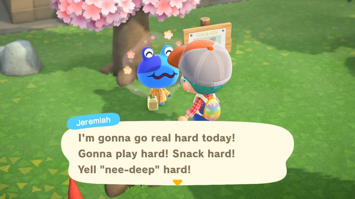 darrylwisner's tweet photo. I present to you, Jeremiah. The true spirit animal of @JosephJBroni #AnimalCrossing #ACNH #NintendoSwitch https://t.co/3mKncdyP6C