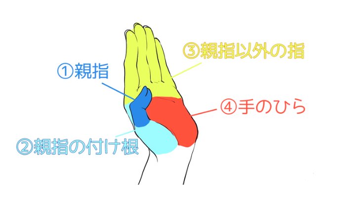 Forアニメーター Ar Twitter 描き方ポイント 手 手の構造を正確に理解することが大切です 4つのパーツ 1 親指 2 親指の付け根 3 親指以外の手 4 手のひらごとに正確に観察し それぞれの特徴を把握してみましょう T Co Gngeo6mhyf アニメ アート Forアニメーター Ar Twitter 描き方ポイント 手 手の構造を正確に理解することが大切です 4つのパーツ 1 親指 2 親指の付け根 3 親指以外の手 4 手のひらごとに正確に観察し それぞれの特徴を把握してみましょう T Co Gngeo6mhyf アニメ アート