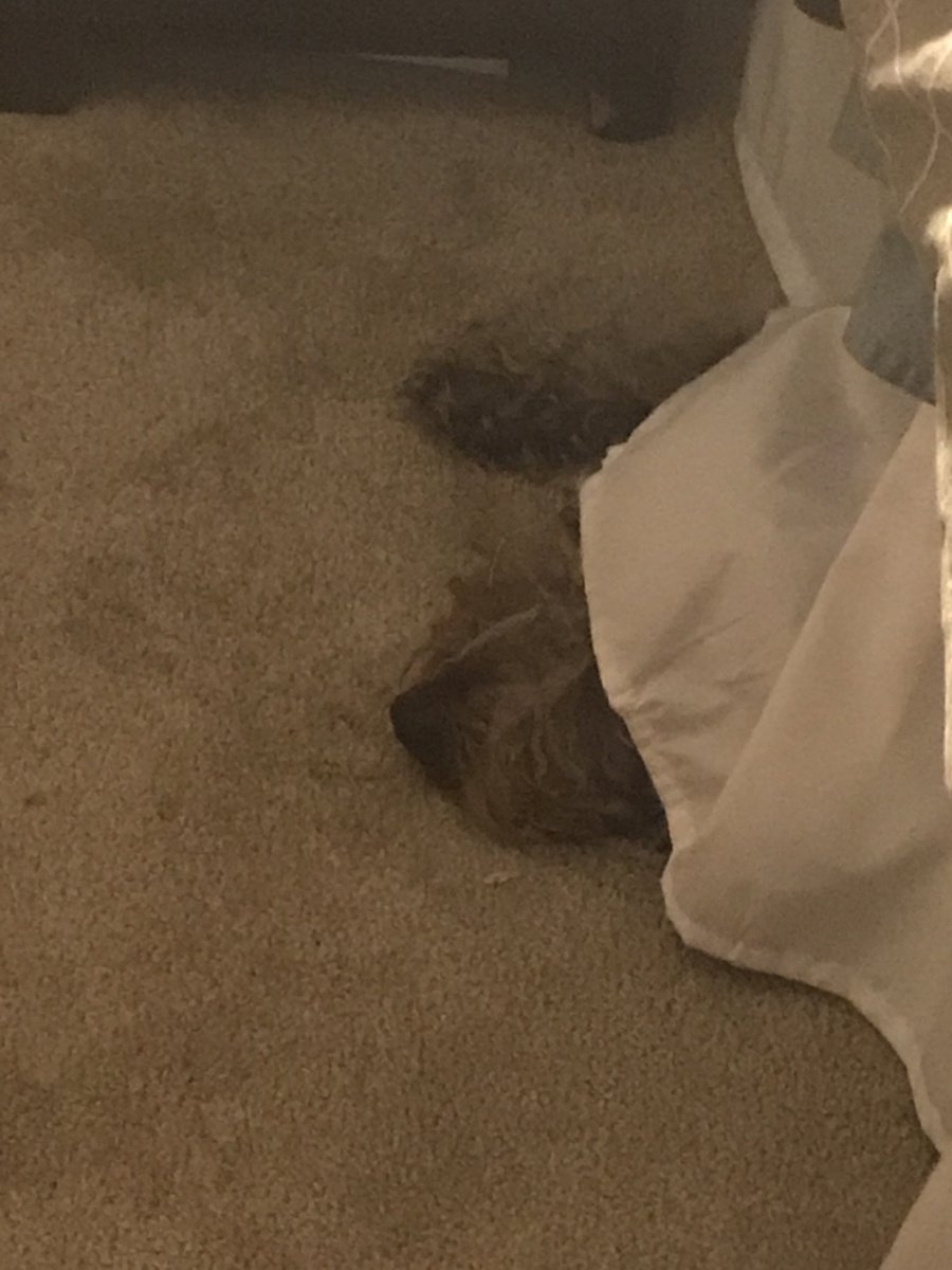 finn_support's tweet photo. I don’t ❤️ thunderstorms 😬 https://t.co/mcTJSv8nF8