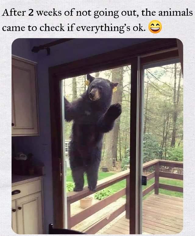 The Idealist (@theidealist_org) on Twitter photo 