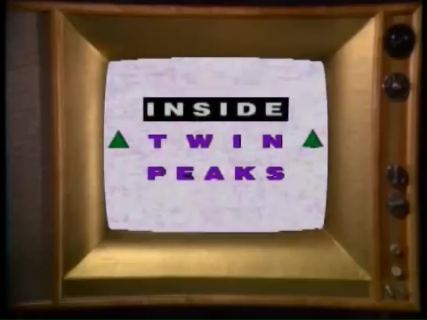 CORonTV's tweet photo. And don't forget, a pre-show of Peaks miscellanea starts at 5PM EDT!!! #TwinPeaks30 #twinpeakswatchparty https://t.co/cO3dUatLGh
