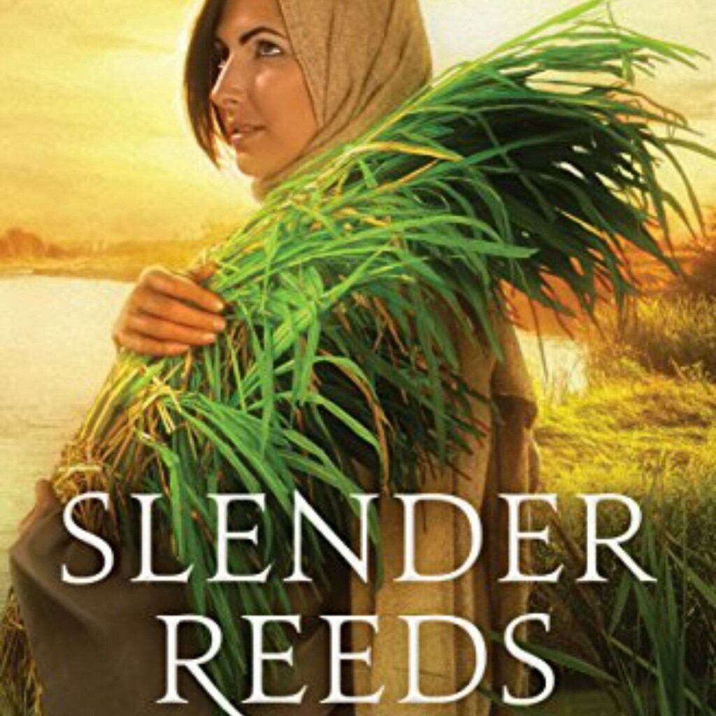 MesuAndrews's tweet photo. $0.99 - SLENDER REEDS: JOCHEBED'S STORY by Texie Susan Gregory (Loved this story!)
Jochebed’s entire life has been a faith journey as she seeks her mother’s God. The daughter of a Hebrew slave and master basket weaver, Jochebed knows the stories of her a… https://t.co/mZDjSLz8sg https://t.co/ZuCTDYGoUv
