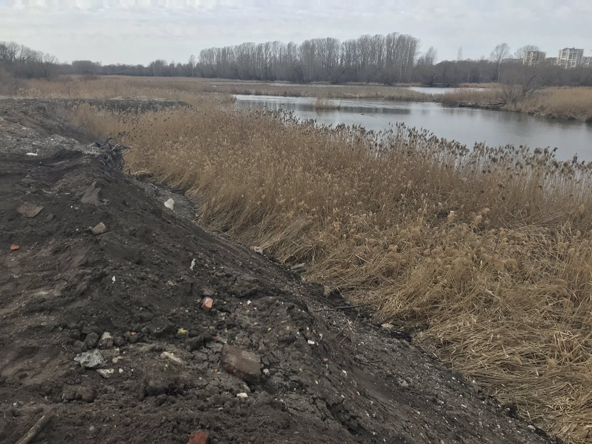 Возобновилась засыпка Свияги. Свозят строительный грунт со всего города. Пора бы уж оставить Свиягу в покое.