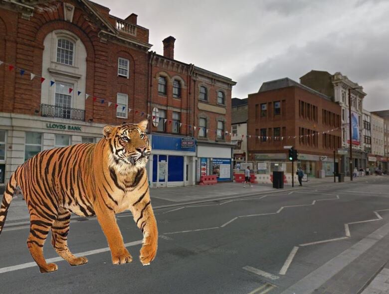 2 metres is about the length of an Indochinese tiger. Imagine one of these in  @stocktoncouncil high-street if you can. Also, if you’ve watched  #TigerKing   you’ll definitely want to keep your distance.