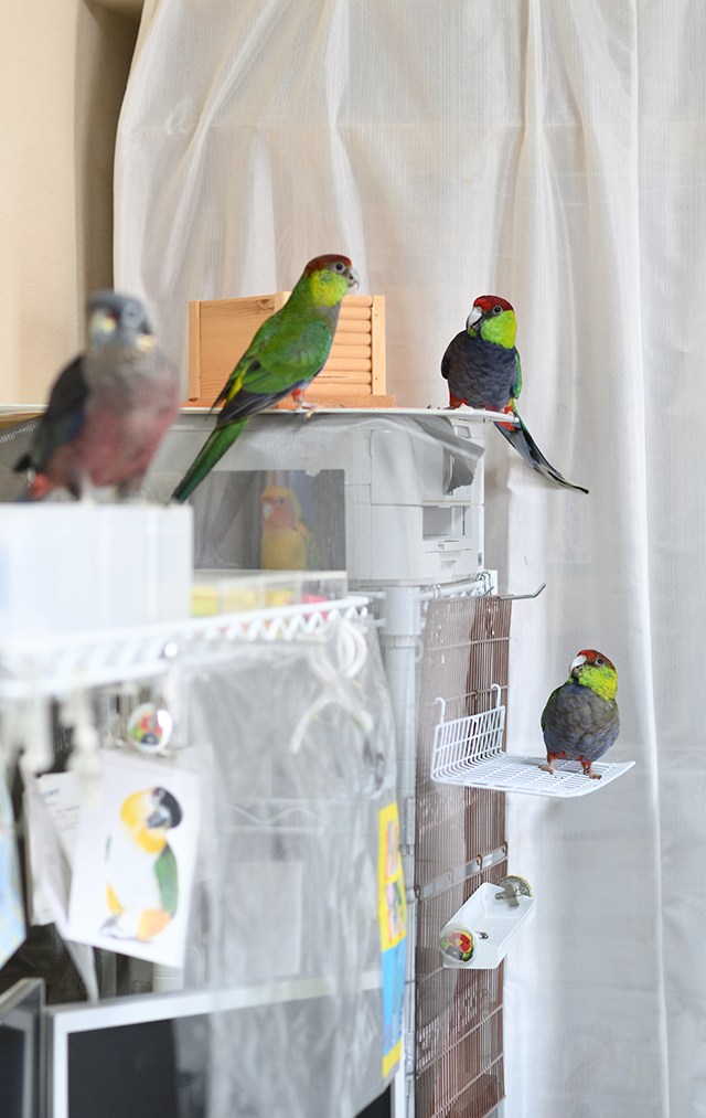 OPi.Toumoto📷🐦 tweet media
