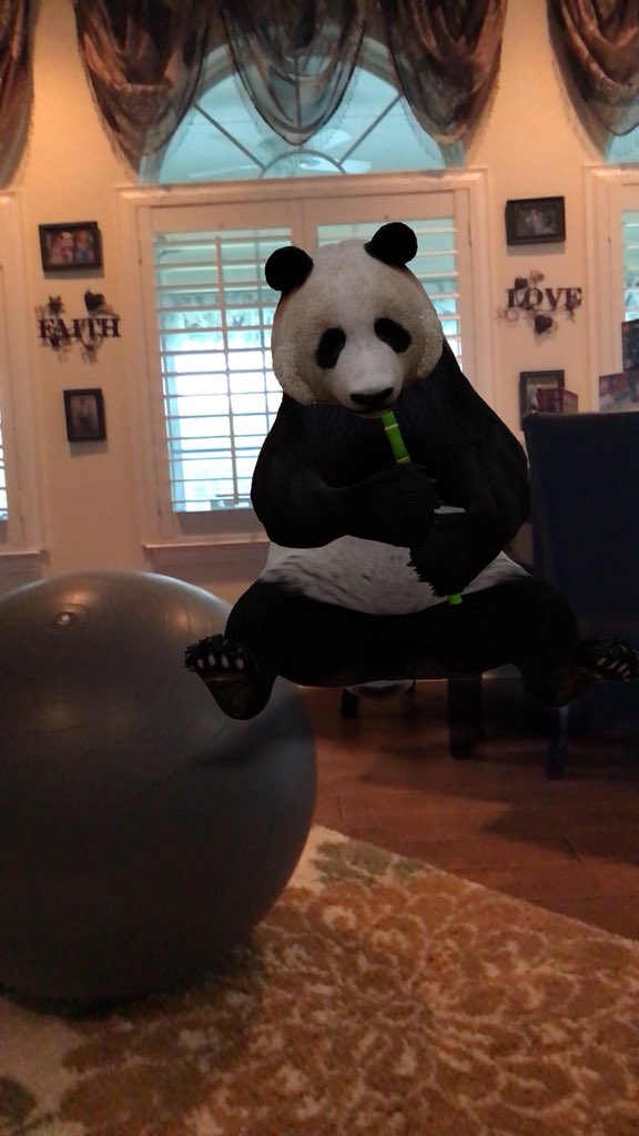 smithvma17's tweet photo. @mrstyndall5th @alek_turner @Google @MrsWoolverton We tried this with the wolf, panda, and shark! https://t.co/lMcB0kwD7J