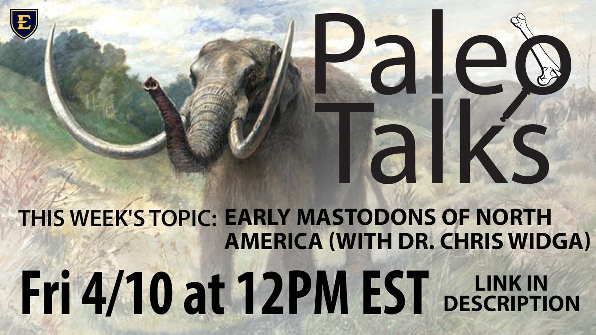 Introducing Paleo Talks!

Hosted by <a href="/ETSU/">ETSU</a> paleontologists David &amp; Blaine, with new guests and topics each week.

Anyone can join! Follow this link to the Zoom meeting: etsu.zoom.us/j/869754347