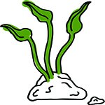 GreenWithIndy's tweet photo. Yeah! GWI launches a new bi-weekly residential service and bulk compost and soil sales! Check it out at https://t.co/lPalULtwh6.

#compost, #supportsmallbusiness, #eatlocal, #foodwastecomposting, #raisedbedgardens, #gardening https://t.co/NmJggsA4g8