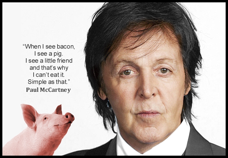 Vegan Future tweet media