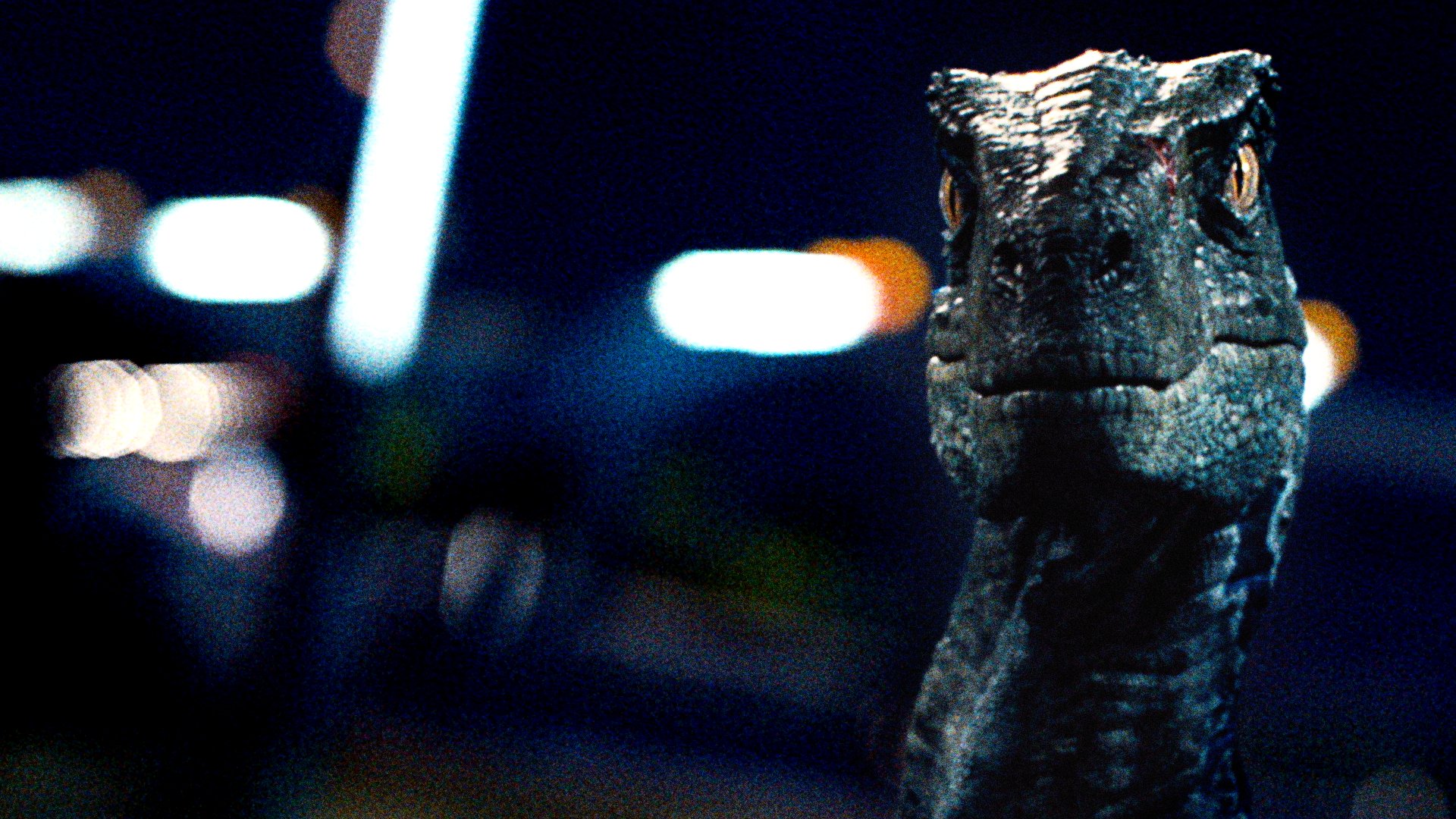 Jurassic World Bring Jurassicworld To Your Video Calls With One Of These Backgrounds