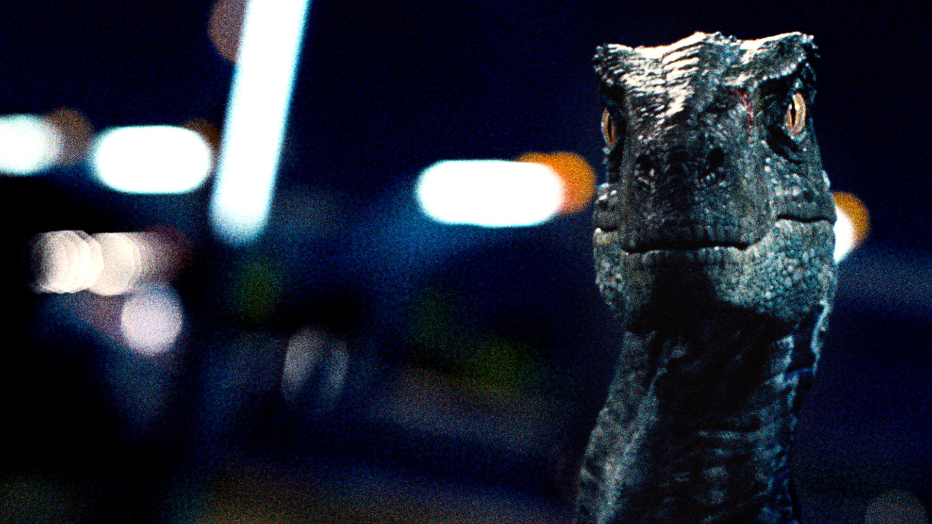 Jurassic World Bring Jurassicworld To Your Video Calls With One Of These Backgrounds Jurassic World Bring Jurassicworld To Your Video Calls With One Of These Backgrounds