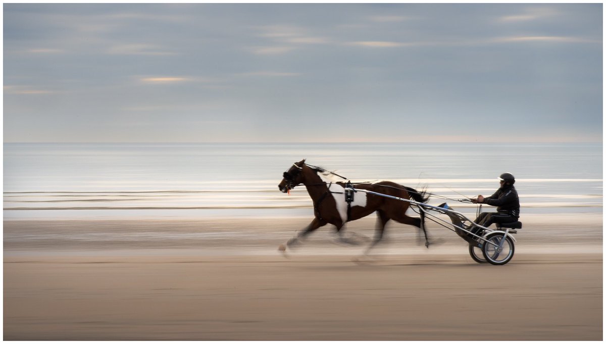 Irelandwildland's tweet photo. A gallop along the strand

#withinanirishmile #irishmile #2kmfromhome #velvetstrand #portmarnock #dailywalk #StaySafe #stayhealthy #lovedublin #loveireland #slowshutterspeed #sportsphotography #Horses #irelandsancienteast https://t.co/lfCyZuoqzv
