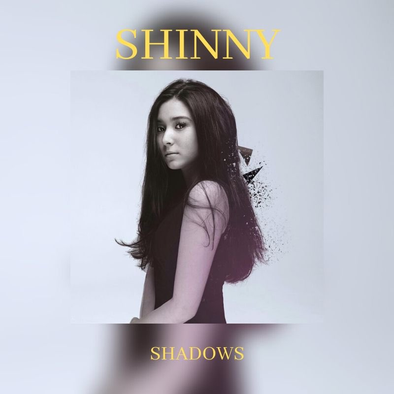 ShinnyOfficiel's tweet photo. Voici la pochette de mon nouveau single « Shadows » !
Le son arrive bientôt... Be ready ! 
Shinny 🌙 https://t.co/VKDYSHP2TX