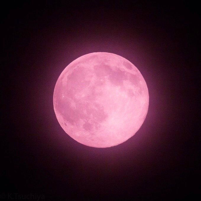 dailymoonpics's tweet photo. strawberry lollipop https://t.co/3KYF1B6Kc0