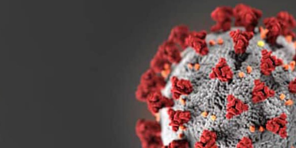 newpubusa's tweet photo. tandfonline: COVID-19 Service updates | Due to the ongoing impact of the COVID-19 pandemic, we’ve made the decision to stop printing journals from 10 April until further notice. 
View FAQs: https://t.co/ojwewDFPFN… 

#COVID19 #AcademicPublishing https://t.co/bNN5KUNrpV