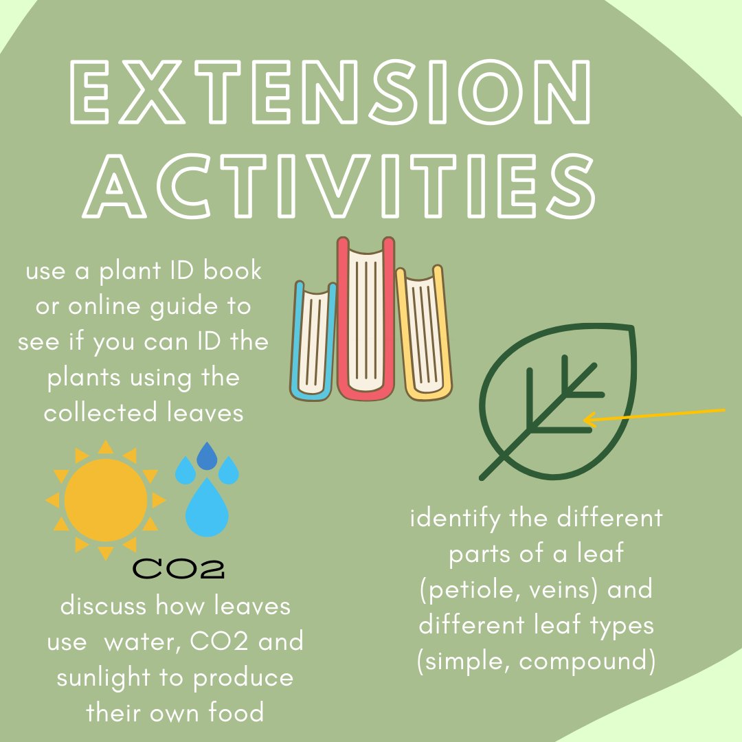cwep_nc's tweet photo. Did you know that trees are 50% water? Trees also help stabilize stream banks, soak up water during rain events and prevent erosion. Explore trees and your watershed with this backyard activity, which can easily be turned into a science lesson #backyardlearning #distanceeducation https://t.co/hFmNV9V0vP