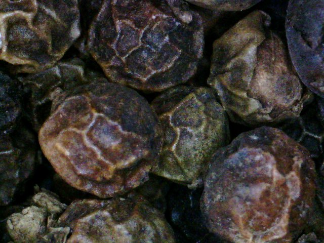 Rebecca Bottin tweet media