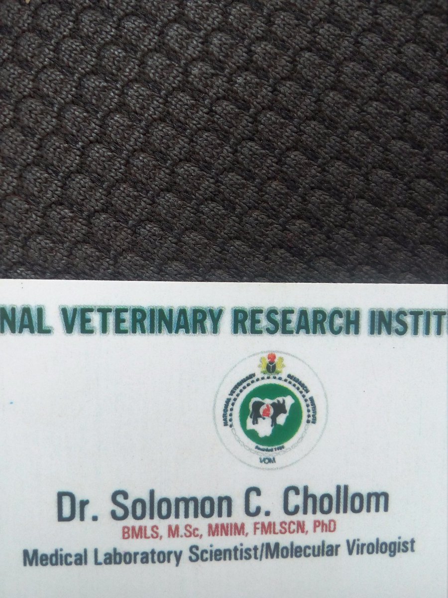 ChollomChollom's tweet photo. Who is the second molecular biologist? #MLS4COVID19 @YmlsfNigeria @AbimbolaOnaolu @aaron_ayodele @tamcares @BobEcheonwu @blinzobi https://t.co/RbGKItkA8p