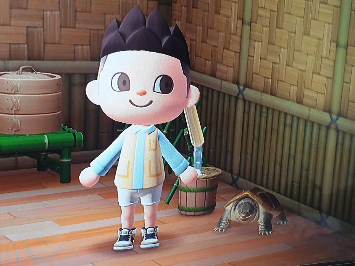 GeenaLeonardGL's tweet photo. If you wondered what @Nigelmarven would look like in Animal Crossing, look no further 😊🐢 https://t.co/B7FZiaDiR7