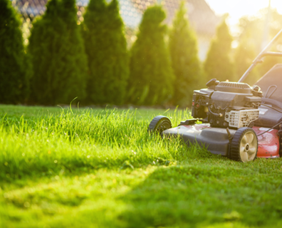ecoactioncenter's tweet photo. #WorkingFromHome + nice weather = social distancing gardening! When you do start to mow be #YardSmart and mow high and often. Taller grass shades out weeds, prevents soil from drying out, and encourages deeper roots which means less fertilizer and clean water! #WatershedWednesday https://t.co/k7X34thlVb
