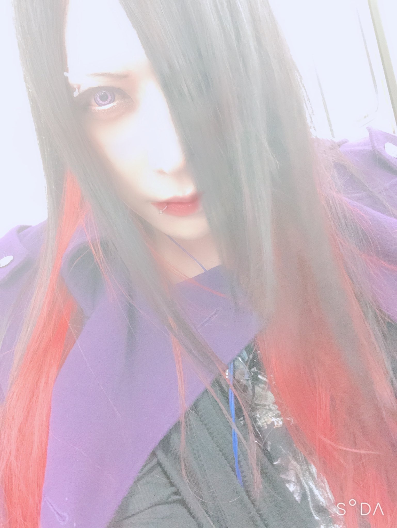 瞳 この機会に自宅シーシャ始めたい人 全部俺に任せてください パイプの予算と特性で何揃えたらいいか 他に何が必要か 美味しい フレーバーの種類 炭の置き方 フレーバーの盛り方 全部任せて 仕事ください 出張シーシャします T Co