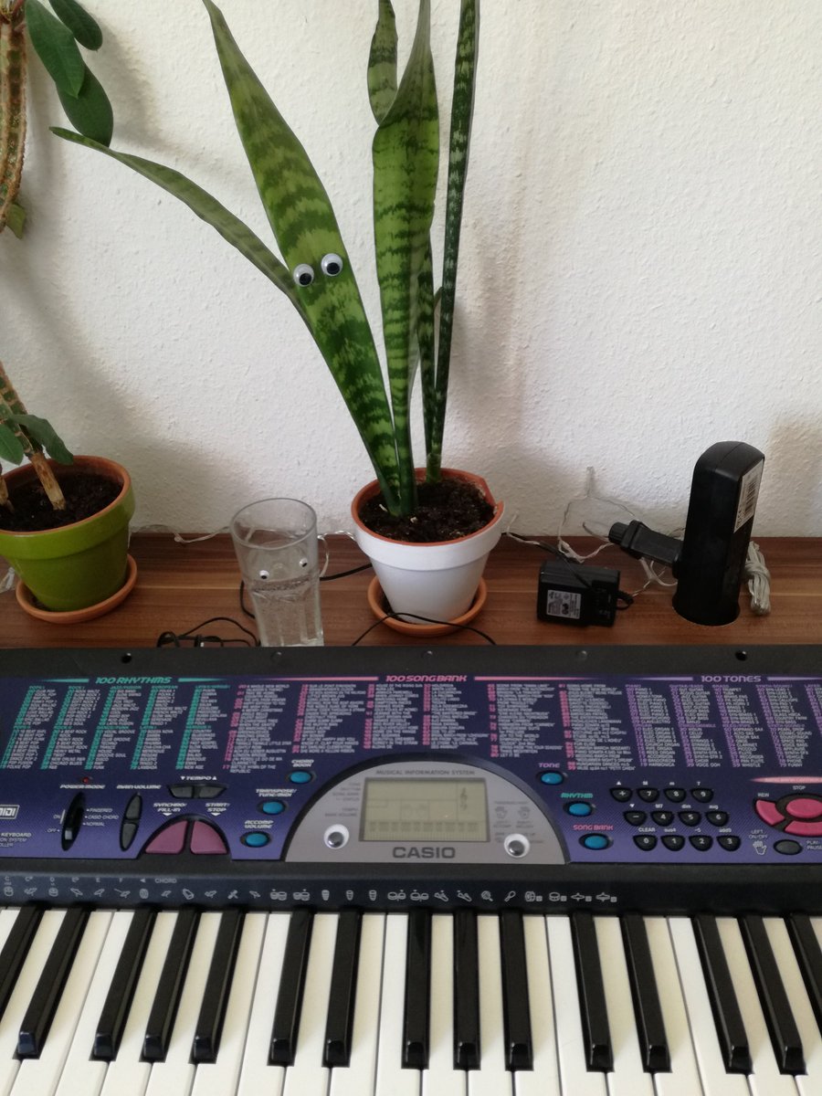 DullenMag's tweet photo. Kleiner Tip für alle, die sich in der #Quarantäne einsam fühlen https://t.co/sm5w84Es1T