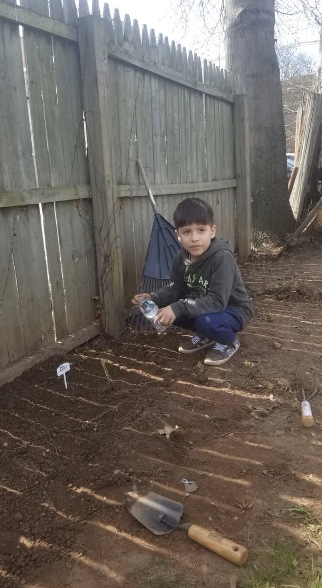 Kelly Kenney tweet media