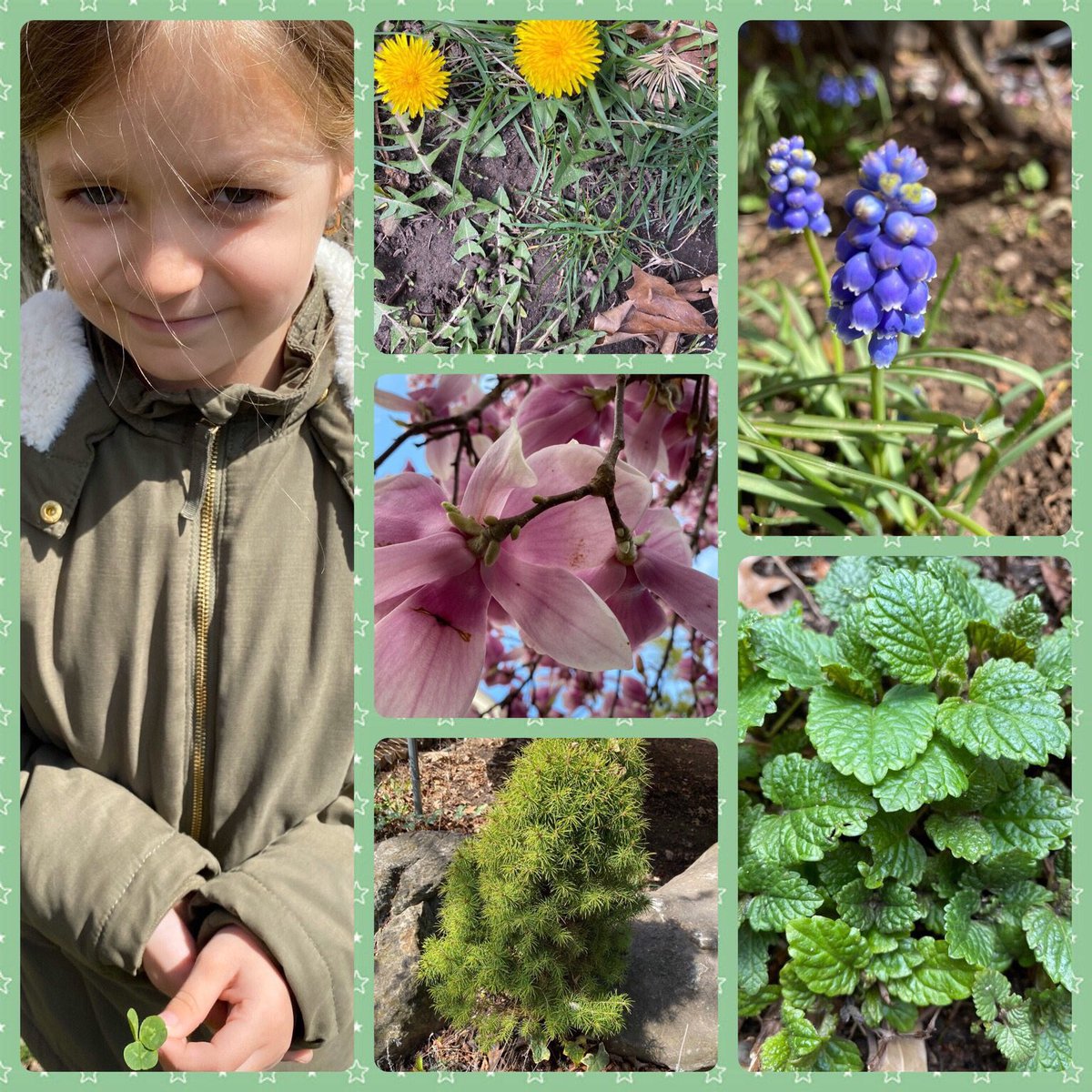 My little scientists are growing and observing different plants near their homes 🌿🌻🍅  #LindenLearnsAtHome <a href="/Clicks4_Sch6/">Linden School No. 6</a> @cindyapalinski