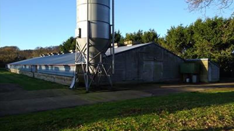 NovaLoca's tweet photo. Secure #Storage / #Workshop premises from @Keygrove - 4,700 Sq Ft with loading doors.The min eaves height is 3.2m. There is surfaced parking/external storage on site with potential to extend existing hardstanding area. Dunbridge Lane, Awbridge, #Romsey.
https://t.co/kZY8BJlRFm https://t.co/tOcd3vniBF
